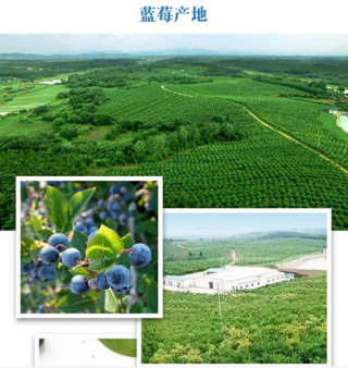 鄂州梁子湖白龍有機農業科技開發企業簡介