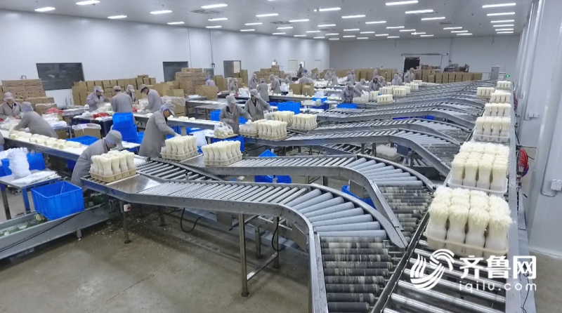 2019年山東農業科技服務（扶貧）月啟動儀式在鄒城舉行，開啟技術推廣新篇章