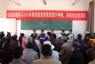 羅平區域推廣站 技術服務工作中的軟件設計創新與實踐